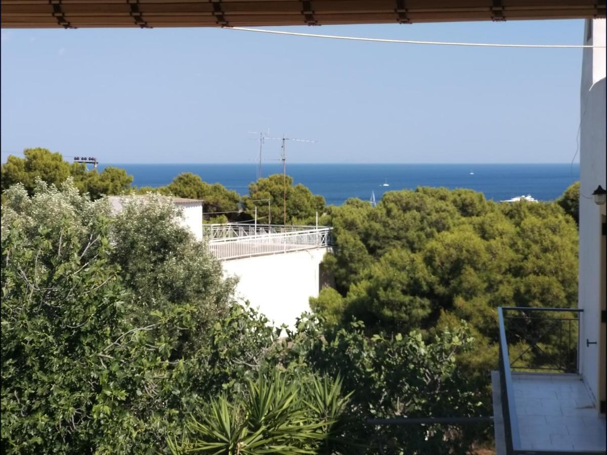 Aelia Houses Agia Marina  外观 照片